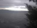 ./images/koeye/fitz-hugh/20241006/fitz-hugh20241006_170002.jpg