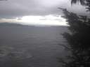 ./images/koeye/fitz-hugh/20241006/fitz-hugh20241006_170501.jpg