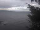 ./images/koeye/fitz-hugh/20241006/fitz-hugh20241006_173002.jpg