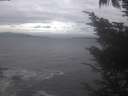 ./images/koeye/fitz-hugh/20241006/fitz-hugh20241006_173501.jpg