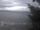 ./images/koeye/fitz-hugh/20241006/fitz-hugh20241006_174502.jpg