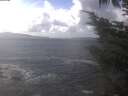 ./images/koeye/fitz-hugh/20241008/fitz-hugh20241008_140502.jpg