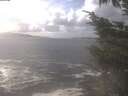 ./images/koeye/fitz-hugh/20241008/fitz-hugh20241008_142502.jpg