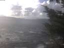 ./images/koeye/fitz-hugh/20241008/fitz-hugh20241008_143002.jpg