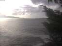 ./images/koeye/fitz-hugh/20241008/fitz-hugh20241008_155501.jpg