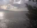 ./images/koeye/fitz-hugh/20241008/fitz-hugh20241008_160501.jpg