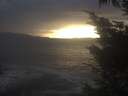 ./images/koeye/fitz-hugh/20241008/fitz-hugh20241008_180002.jpg