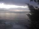 ./images/koeye/fitz-hugh/20241008/fitz-hugh20241008_191001.jpg