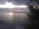 ./images/koeye/fitz-hugh/20241008/fitz-hugh20241008_191501.jpg