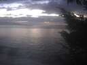 ./images/koeye/fitz-hugh/20241008/fitz-hugh20241008_192001.jpg