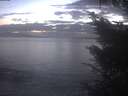 ./images/koeye/fitz-hugh/20241008/fitz-hugh20241008_193002.jpg