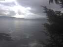 ./images/koeye/fitz-hugh/20241009/fitz-hugh20241009_090502.jpg