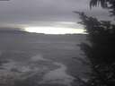 ./images/koeye/fitz-hugh/20241009/fitz-hugh20241009_143502.jpg