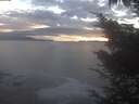 ./images/koeye/fitz-hugh/20241009/fitz-hugh20241009_185002.jpg
