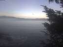 ./images/koeye/fitz-hugh/20241010/fitz-hugh20241010_090002.jpg