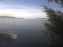 ./images/koeye/fitz-hugh/20241010/fitz-hugh20241010_123002.jpg
