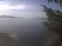 ./images/koeye/fitz-hugh/20241010/fitz-hugh20241010_140002.jpg