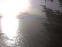 ./images/koeye/fitz-hugh/20241010/fitz-hugh20241010_163501.jpg