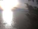 ./images/koeye/fitz-hugh/20241010/fitz-hugh20241010_164501.jpg