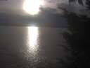 ./images/koeye/fitz-hugh/20241010/fitz-hugh20241010_172501.jpg