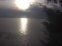 ./images/koeye/fitz-hugh/20241010/fitz-hugh20241010_173002.jpg