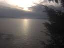 ./images/koeye/fitz-hugh/20241010/fitz-hugh20241010_173501.jpg