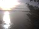 ./images/koeye/fitz-hugh/20241011/fitz-hugh20241011_163502.jpg