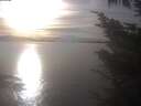 ./images/koeye/fitz-hugh/20241011/fitz-hugh20241011_164502.jpg