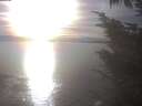 ./images/koeye/fitz-hugh/20241011/fitz-hugh20241011_170502.jpg
