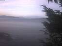 ./images/koeye/fitz-hugh/20241012/fitz-hugh20241012_071502.jpg