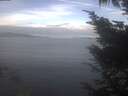 ./images/koeye/fitz-hugh/20241012/fitz-hugh20241012_094502.jpg