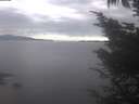 ./images/koeye/fitz-hugh/20241012/fitz-hugh20241012_104002.jpg