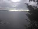 ./images/koeye/fitz-hugh/20241012/fitz-hugh20241012_104502.jpg