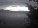 ./images/koeye/fitz-hugh/20241012/fitz-hugh20241012_112002.jpg