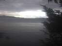 ./images/koeye/fitz-hugh/20241012/fitz-hugh20241012_112502.jpg