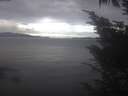 ./images/koeye/fitz-hugh/20241012/fitz-hugh20241012_113002.jpg