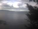 ./images/koeye/fitz-hugh/20241012/fitz-hugh20241012_120002.jpg