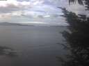 ./images/koeye/fitz-hugh/20241012/fitz-hugh20241012_122501.jpg