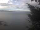 ./images/koeye/fitz-hugh/20241012/fitz-hugh20241012_123501.jpg