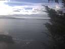 ./images/koeye/fitz-hugh/20241012/fitz-hugh20241012_135502.jpg