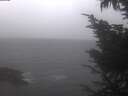 ./images/koeye/fitz-hugh/20241013/fitz-hugh20241013_144502.jpg