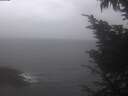 ./images/koeye/fitz-hugh/20241013/fitz-hugh20241013_160502.jpg