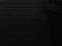 ./images/koeye/fitz-hugh/20241013/fitz-hugh20241013_192002.jpg