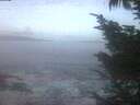 ./images/koeye/fitz-hugh/20241014/fitz-hugh20241014_071502.jpg