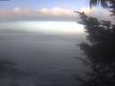 ./images/koeye/fitz-hugh/20241014/fitz-hugh20241014_085001.jpg