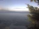 ./images/koeye/fitz-hugh/20241014/fitz-hugh20241014_100502.jpg