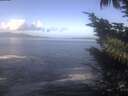 ./images/koeye/fitz-hugh/20241014/fitz-hugh20241014_110502.jpg