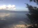 ./images/koeye/fitz-hugh/20241014/fitz-hugh20241014_115501.jpg