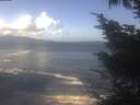 ./images/koeye/fitz-hugh/20241014/fitz-hugh20241014_120002.jpg