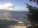 ./images/koeye/fitz-hugh/20241014/fitz-hugh20241014_120501.jpg
